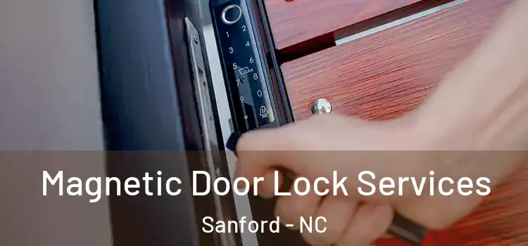Magnetic Door Lock Services Sanford - NC